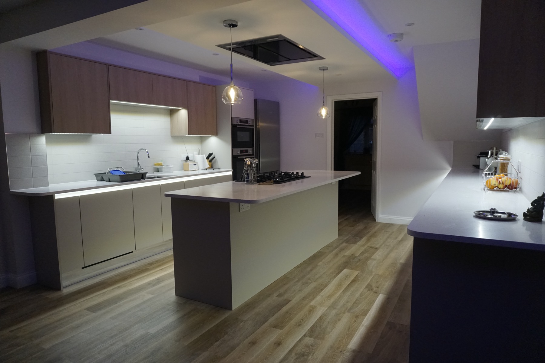 Single Storey Back House Extension Old Farm Park - Image 30